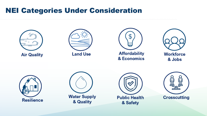 NEI Categories Under Consideration