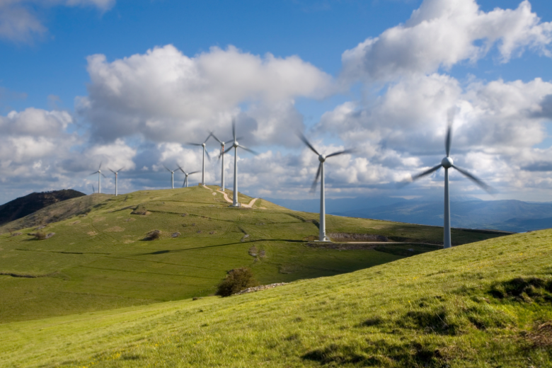 Field of Wind Turbines  