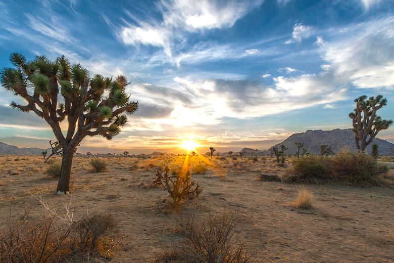 Desert scene with blue skies, cloud and the sun setting off in the distance.