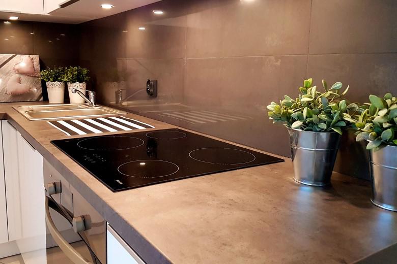 Image of a kitchen counter showing induction stove and sink.